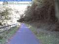 Maare_Radweg_24_5_09_05524